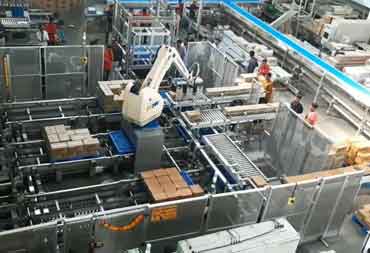 50th Robotic Palletizing Cell